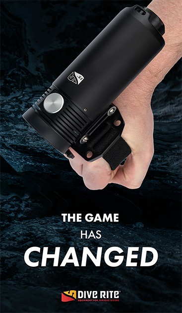 Dive - The Dive Rite FX40 Handheld Primary Light delivers a powerful ...