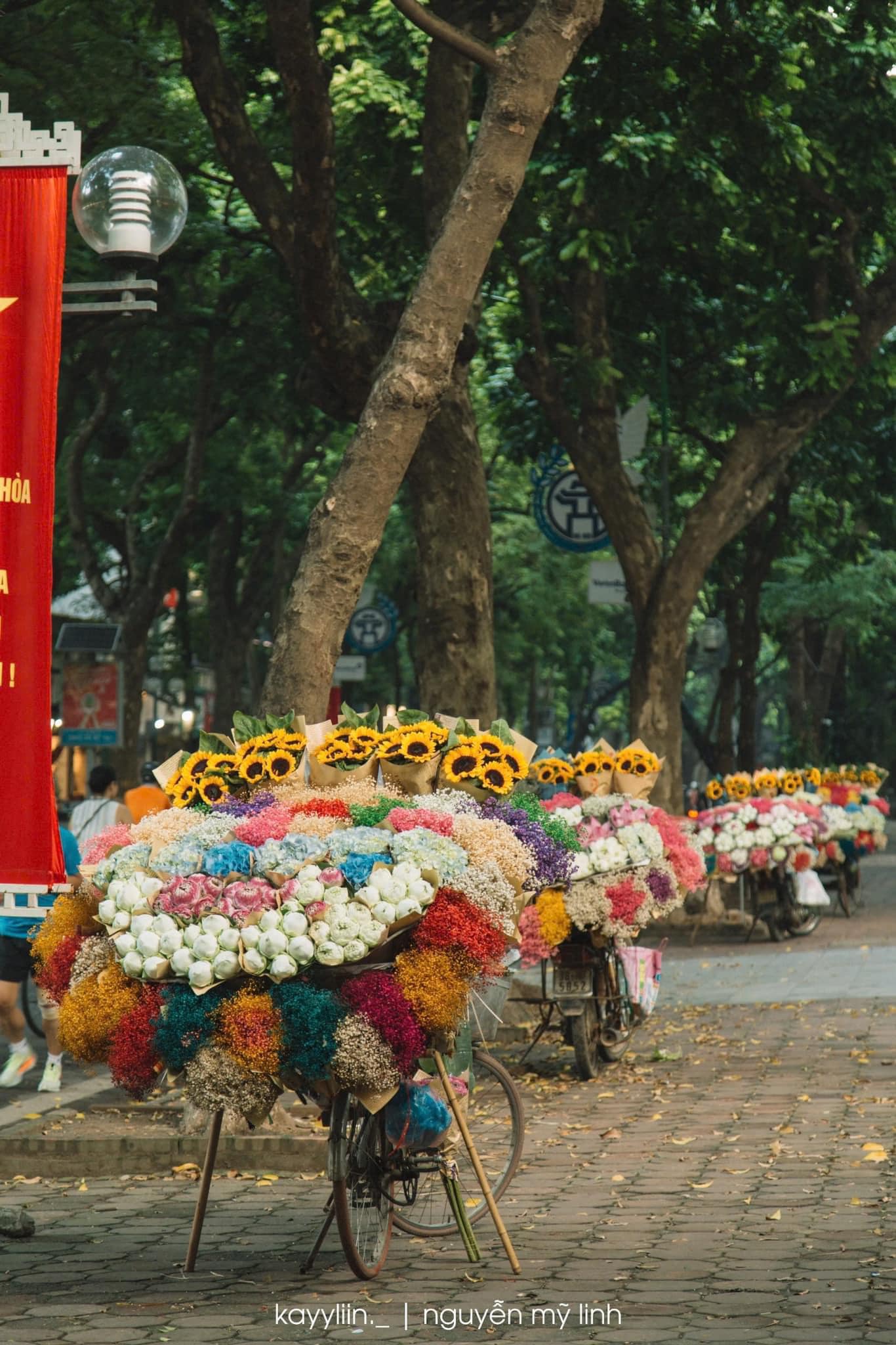 Hà Nội những ngày 