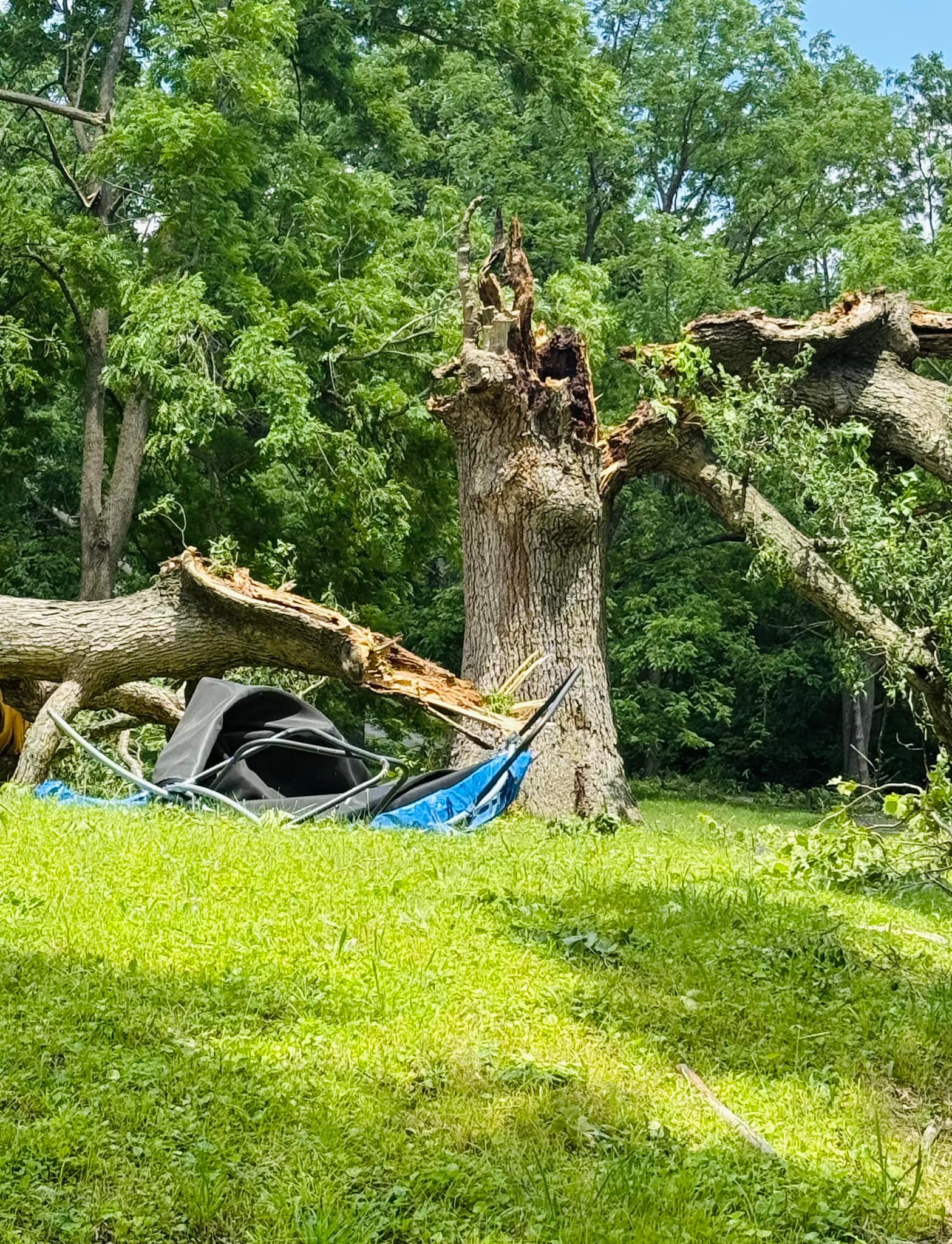 Snyder’s Tree Service LLC | Fort Wayne IN