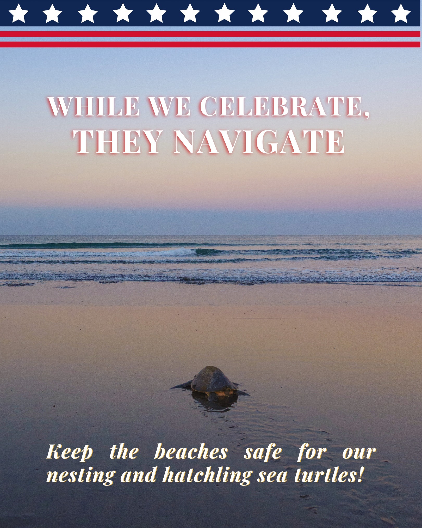 Friends of South Walton Sea Turtles | Santa Rosa Beach FL