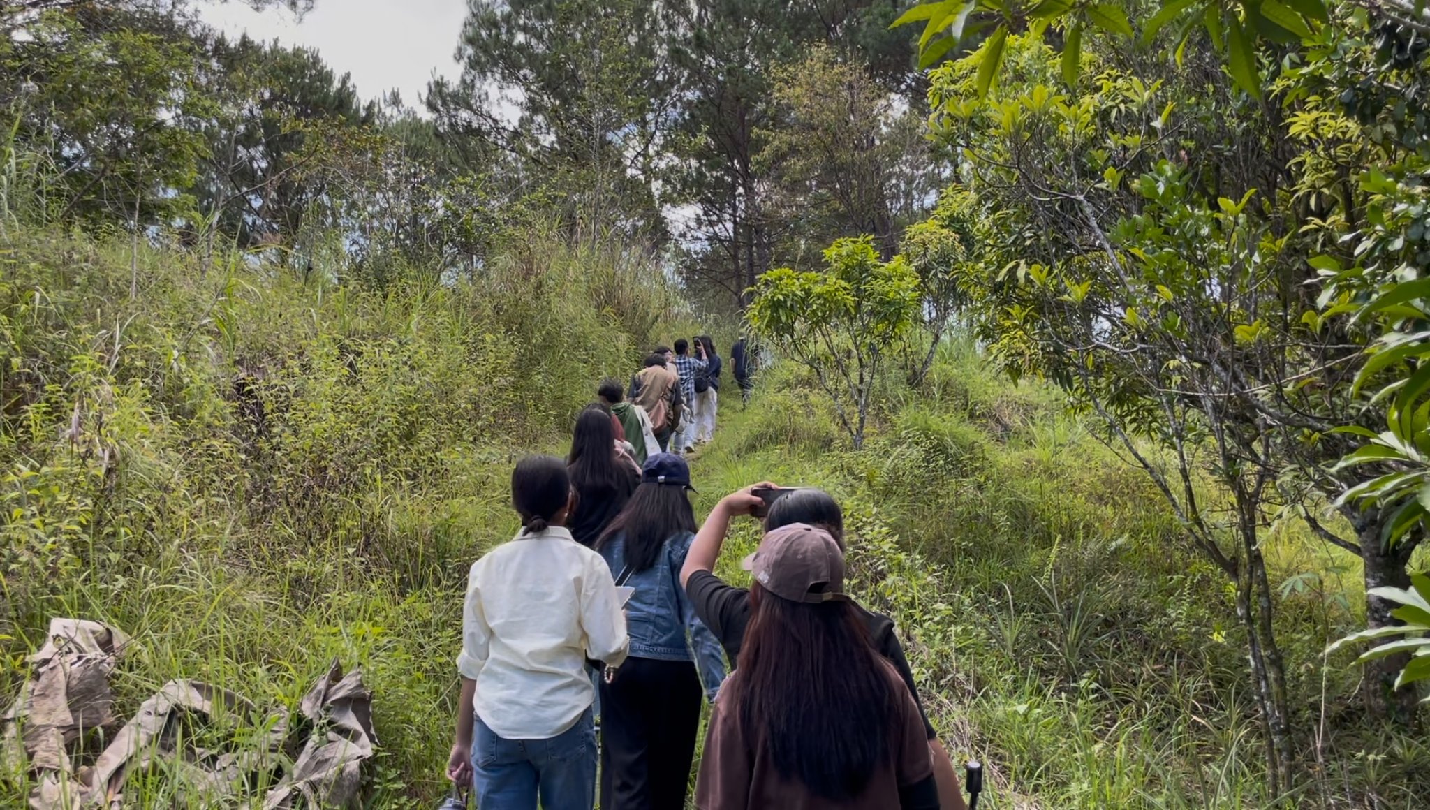 UPLB Department of Social Forestry and Forest Governance