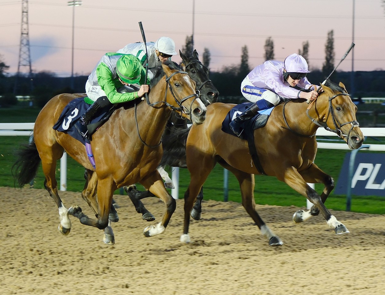 Alexander Racing - Prince Eric, a highly-encouraging third in two goes ...
