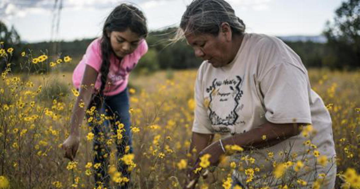 University - Celebrate Native American heritage, history, art ...