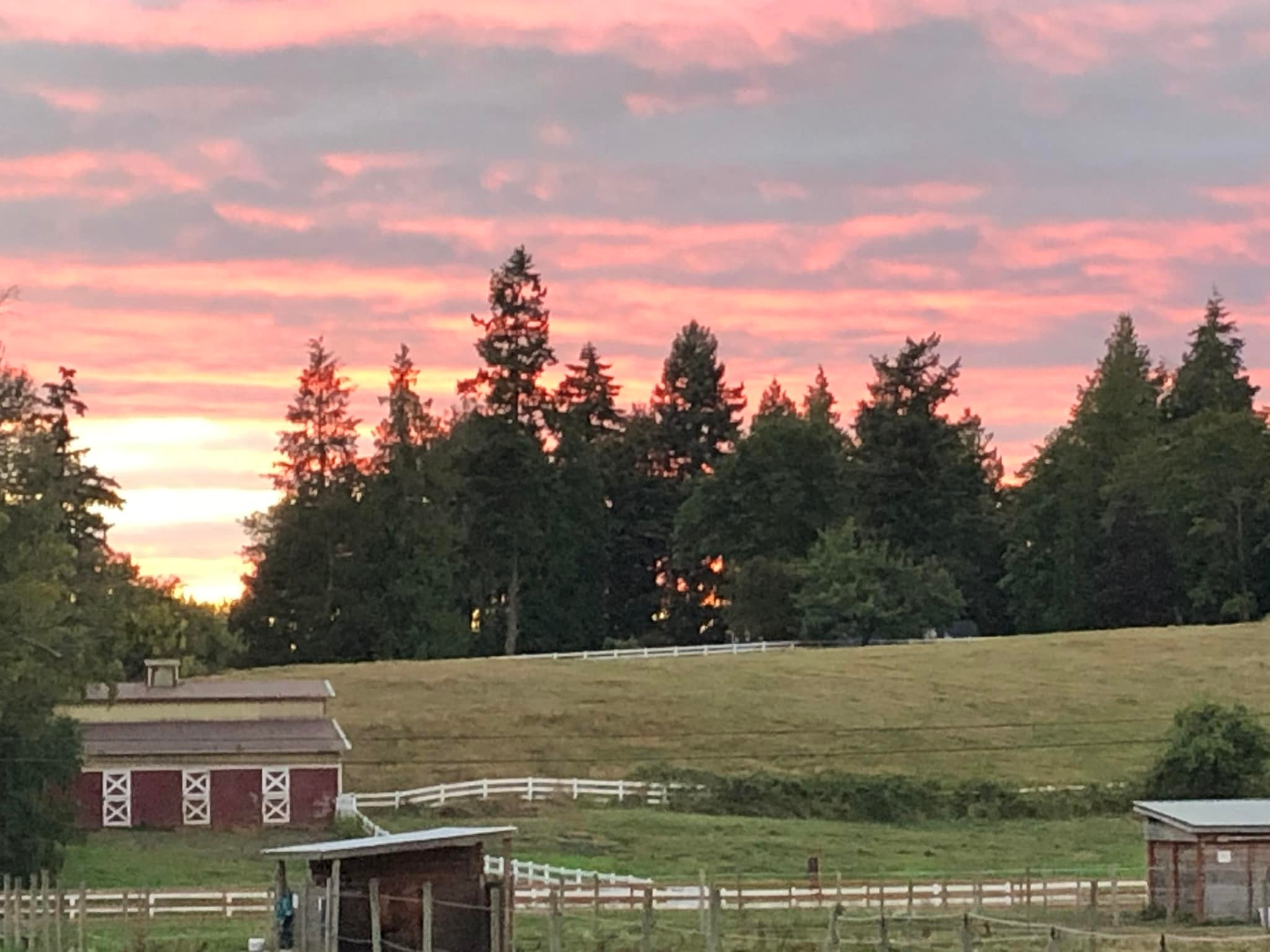 Hines Ranch | Snohomish WA