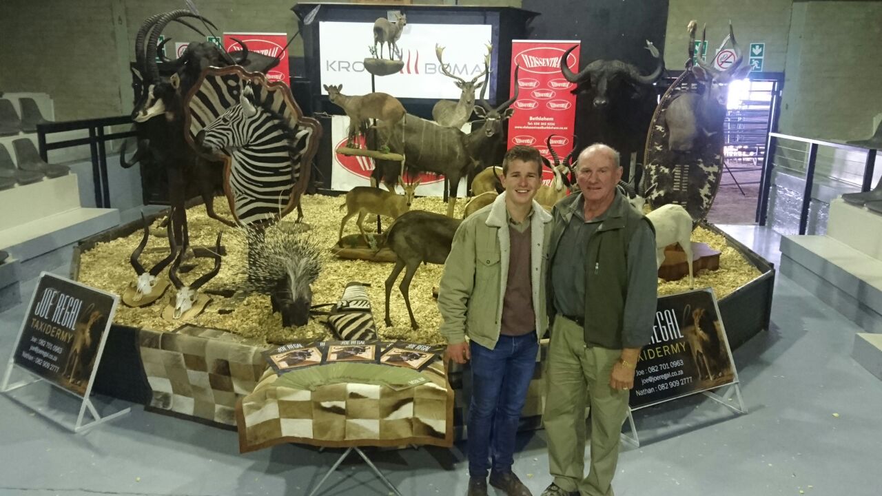Joe Regal Taxidermy