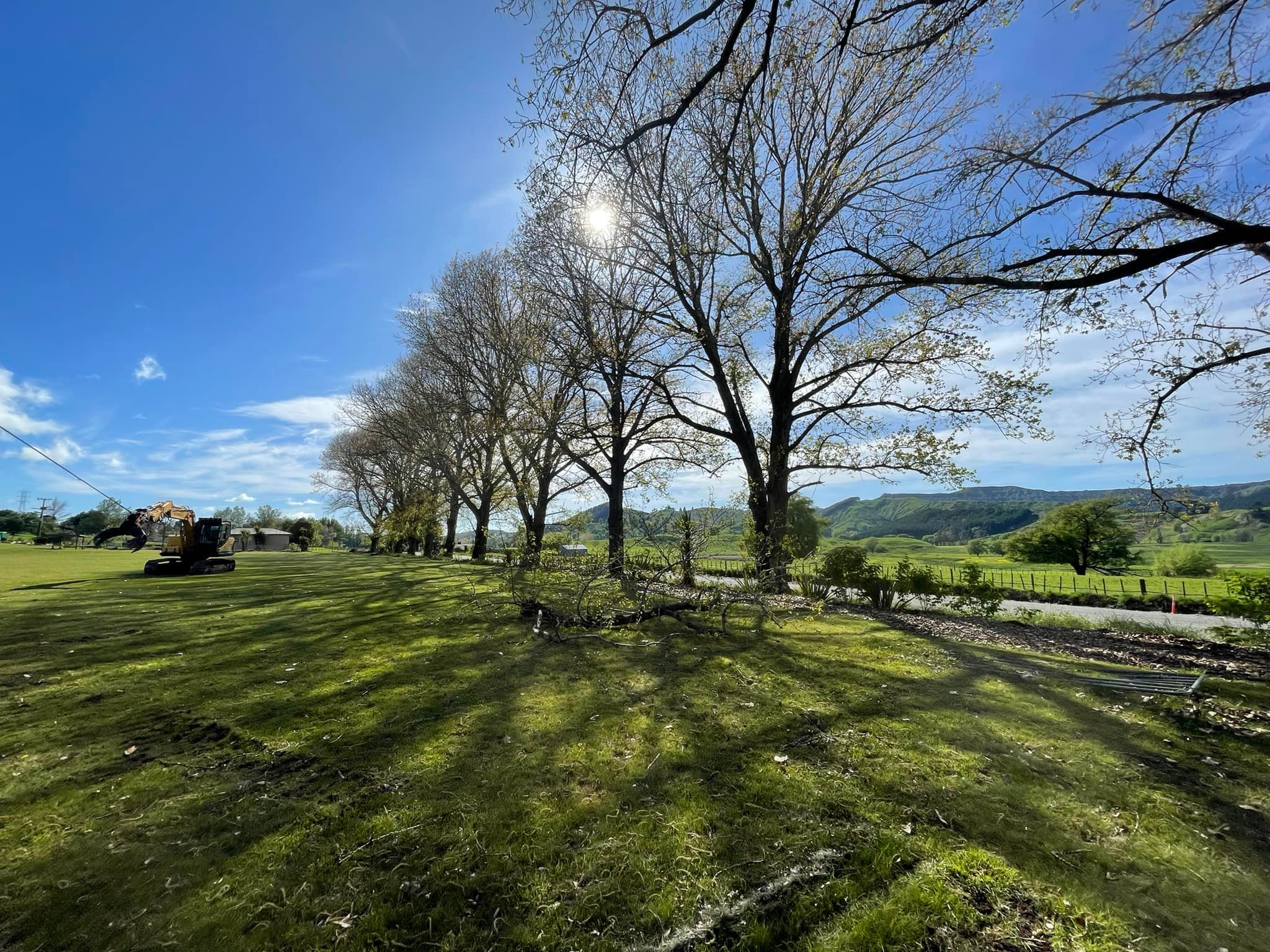 East Arb | Napier