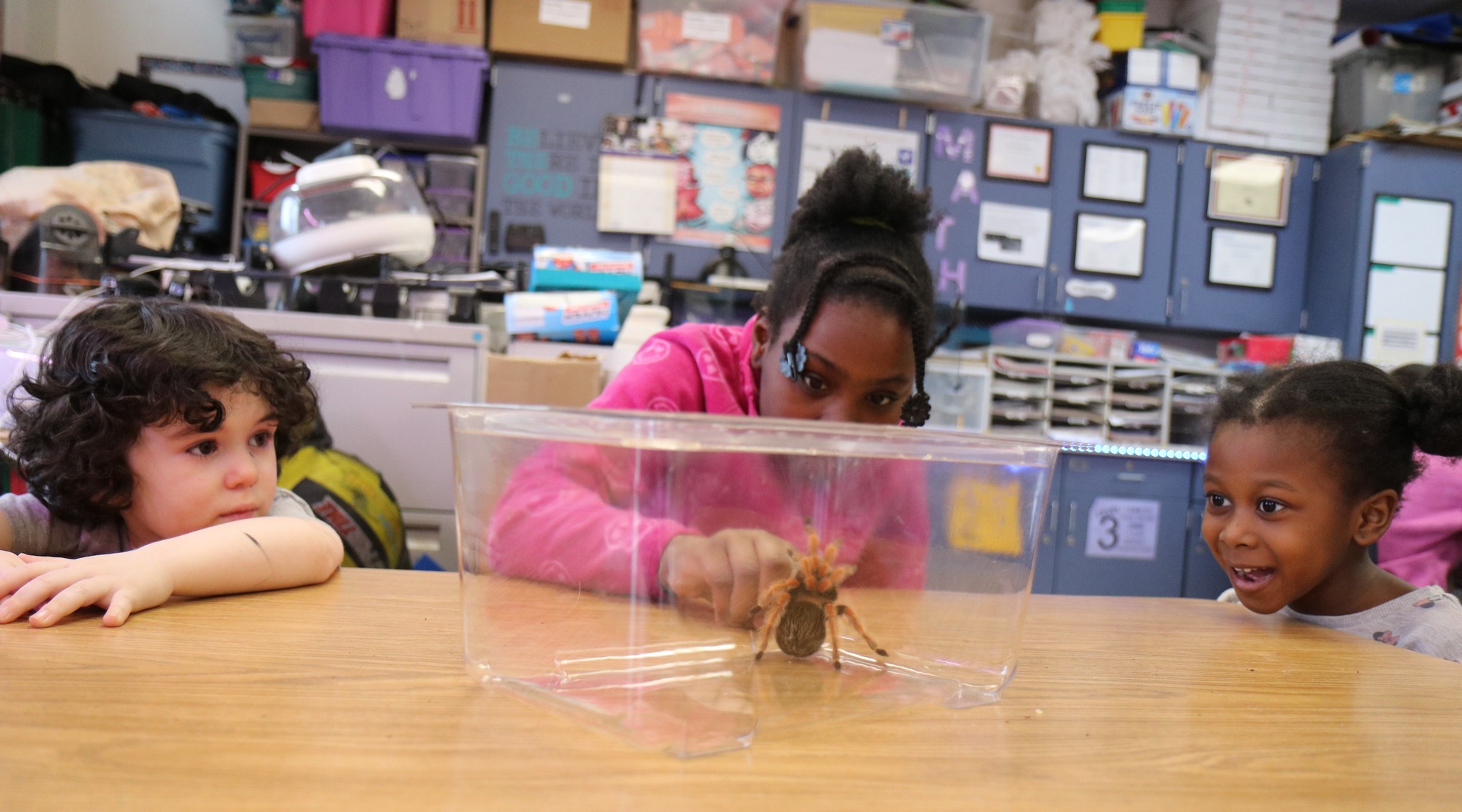 City School District of... - City School District of Albany
