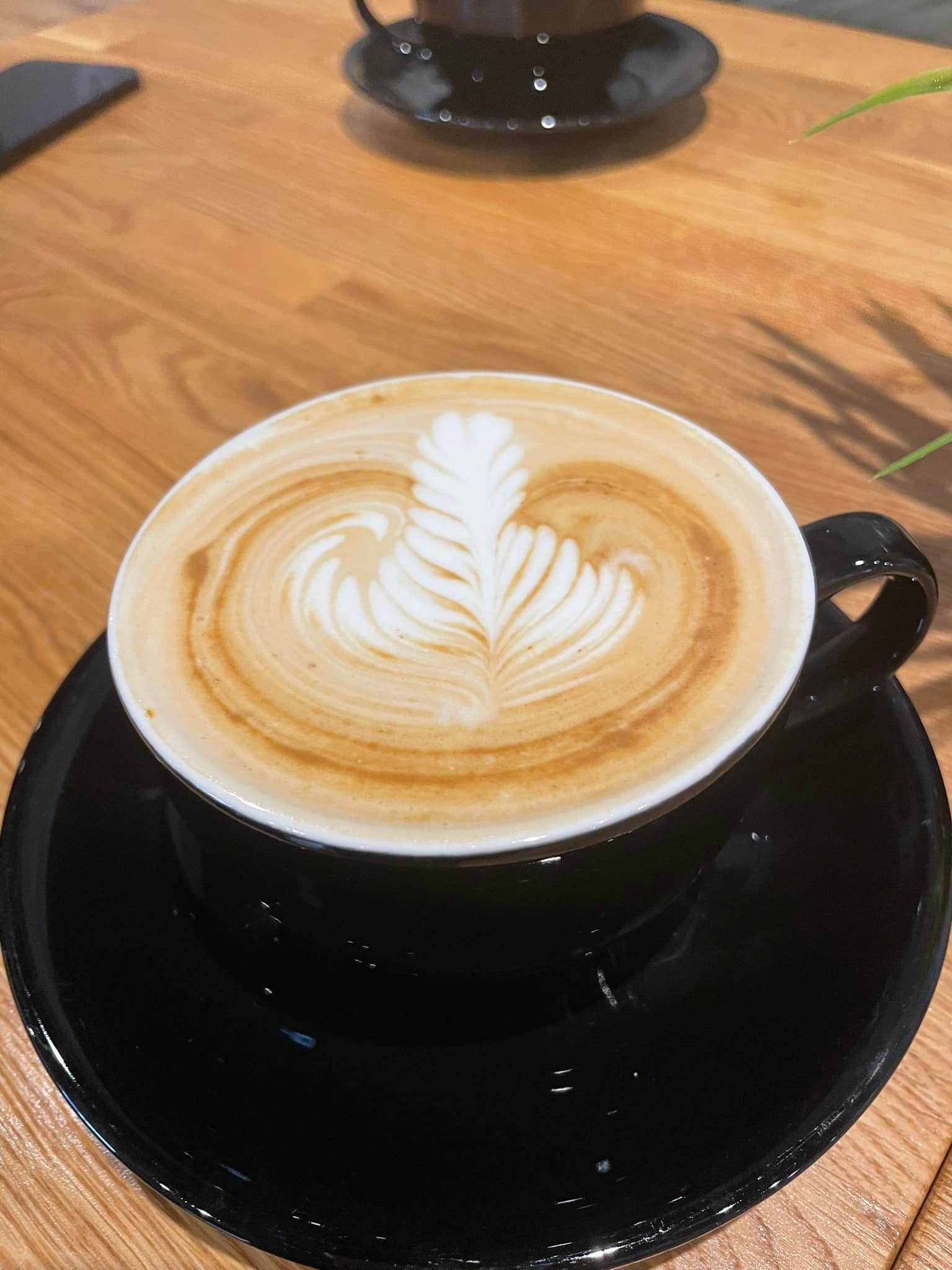 Deaf Cat Coffee | Rochester