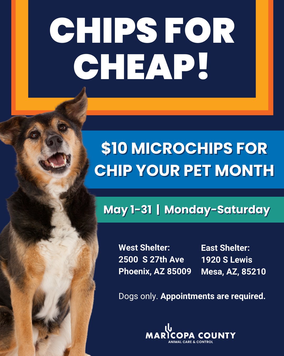 Maricopa - May is Chip Your Pet Month, and we're celebrating with ...