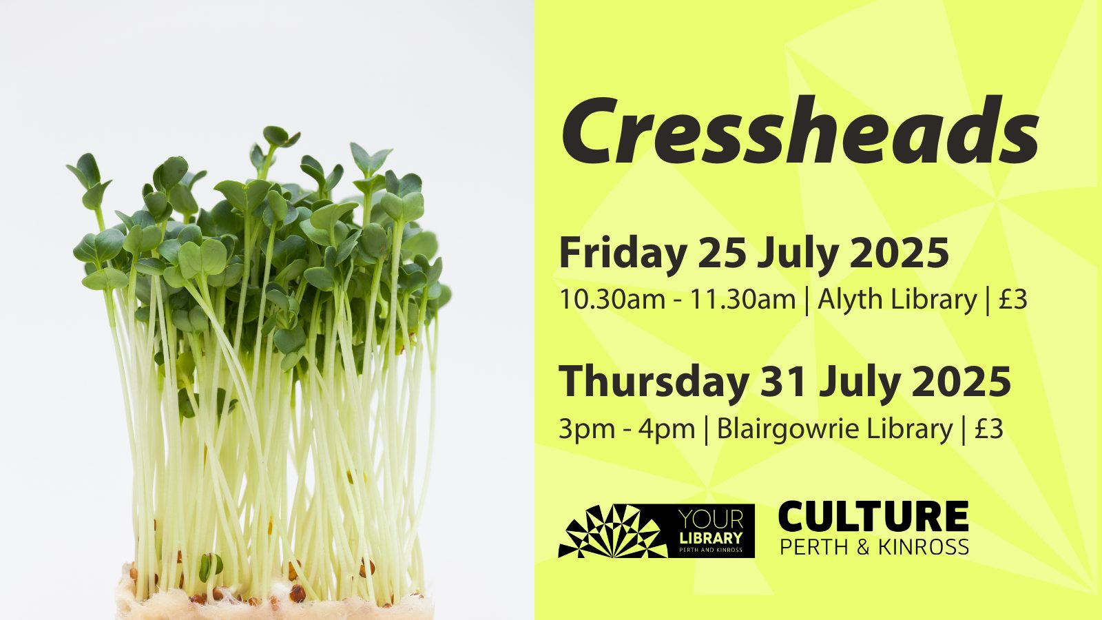 CPKLibraries - Join our Summer Reading Challenge sessions at ...