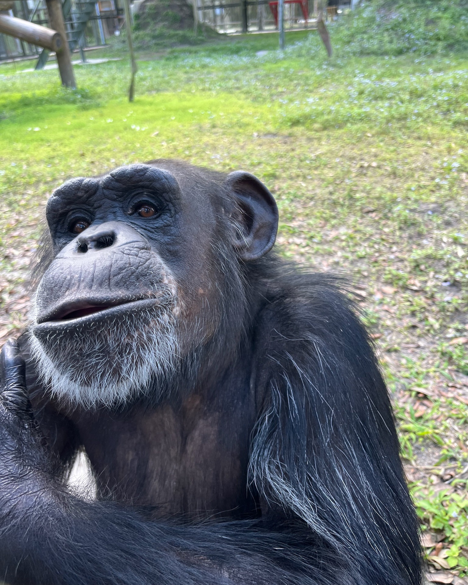 Center - When you’re deep in thought… but still look fabulous ...