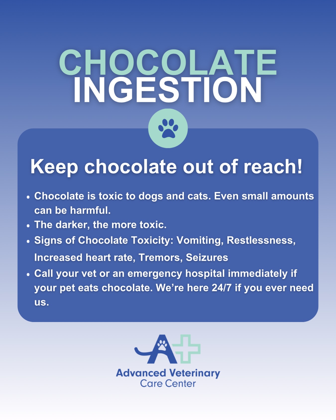 Emergency Vet Visit For Chocolate Ingestion preview