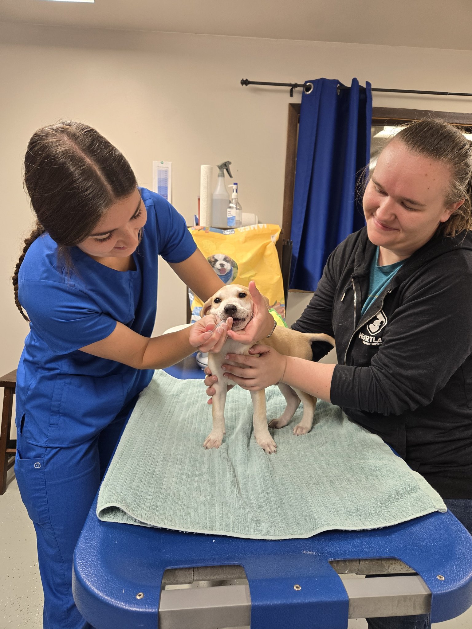 Heartland - On behalf of Heartland Humane Society, I want to extend our ...
