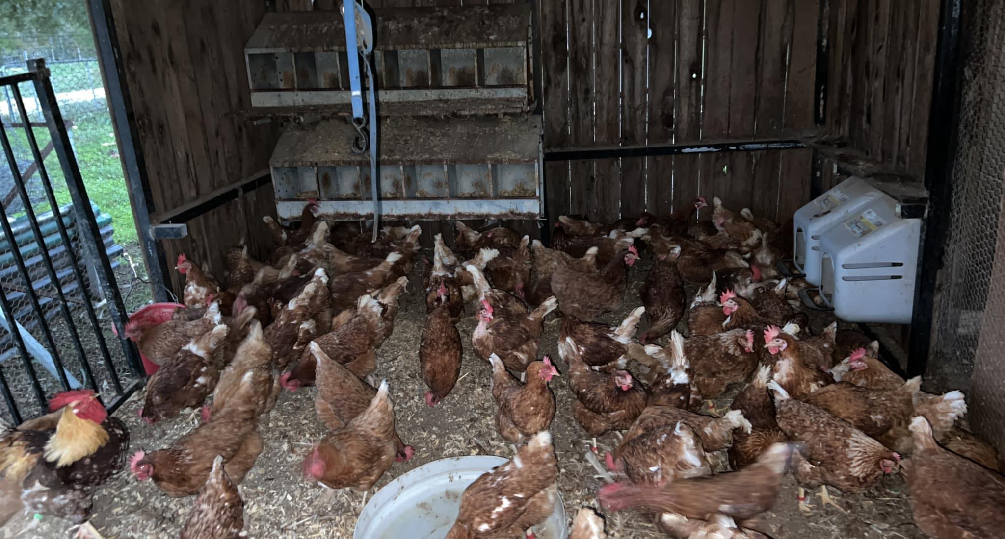 Gless Ranch - Gless Ranch added a new photo — at Gless Ranch.