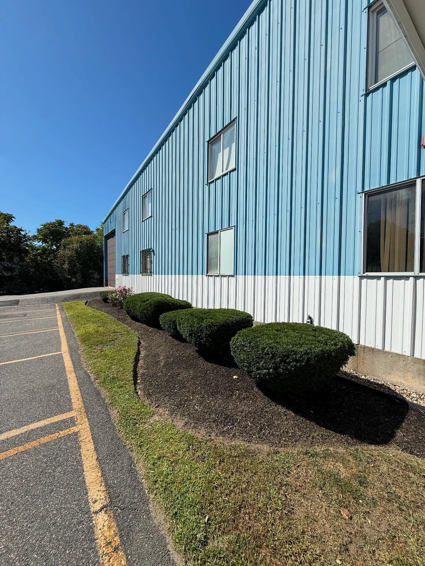 Action Landscaping | Lowell MA