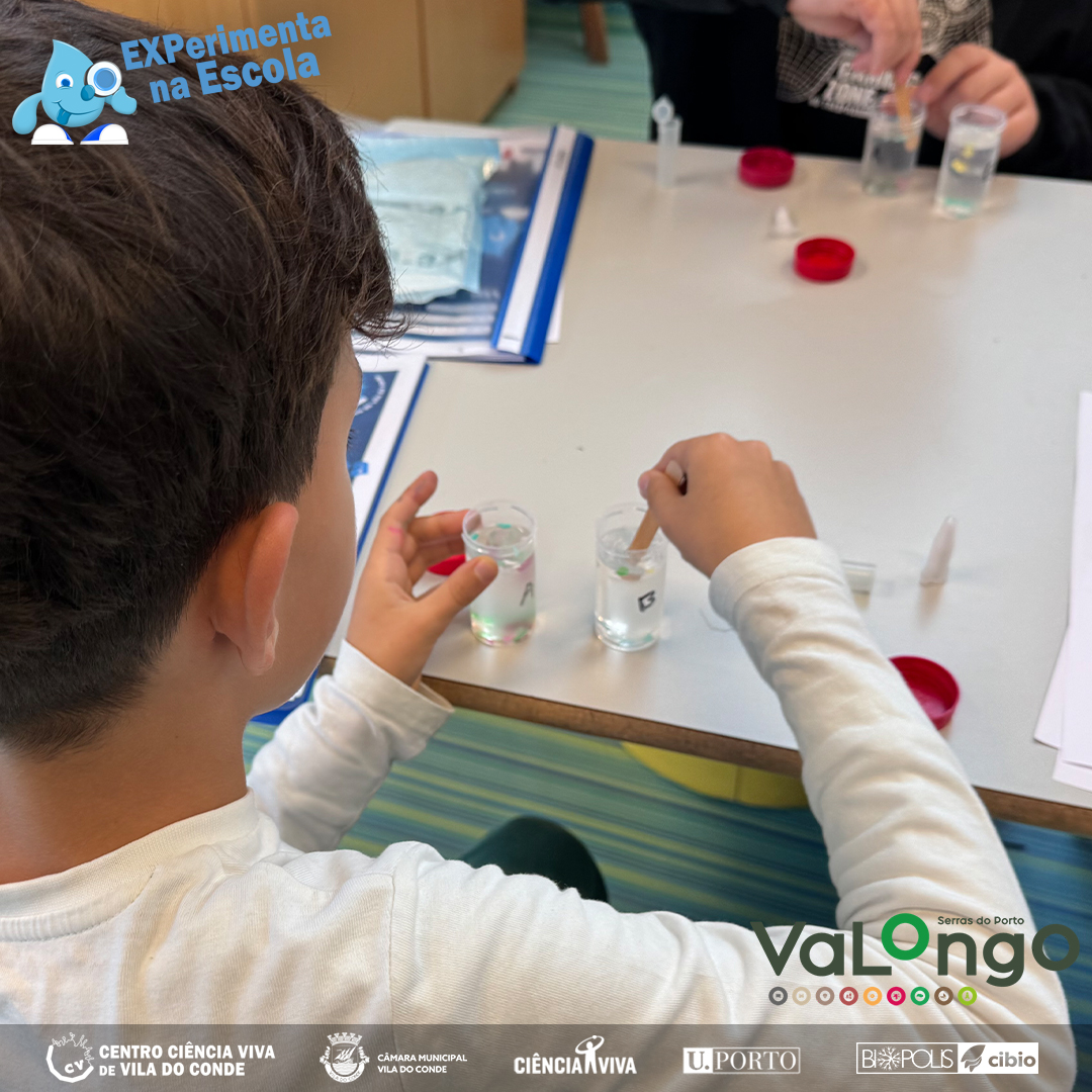 Centro Ciência Viva de Vila do Conde - EXPerimenta na Escola em VALONGO ...