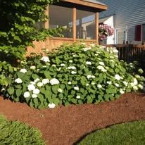 Kurtz Bros Mulch & Soils