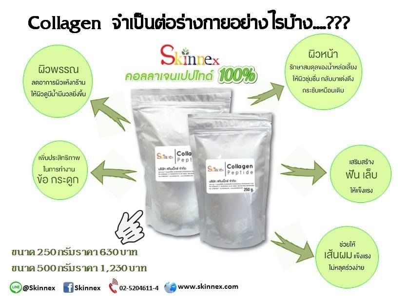 คอลลาเจนเปปไทด์ (Collagen... - Colabo Japan Collagen