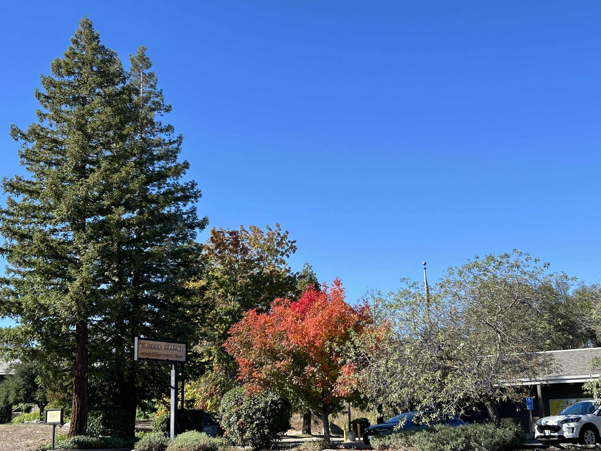 Friends of Auberry Library | Auberry CA