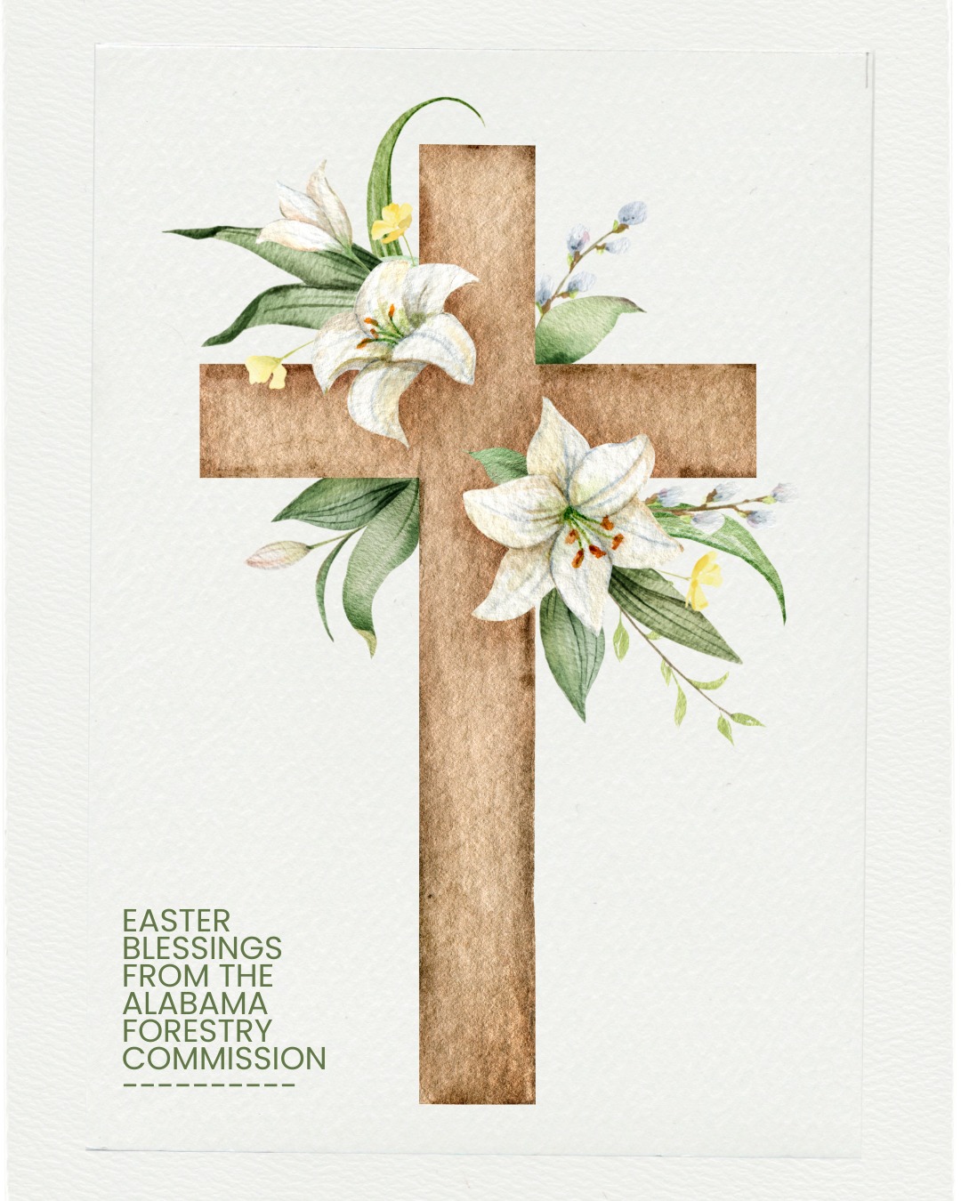 Alabama Forestry Commission | Facebook
