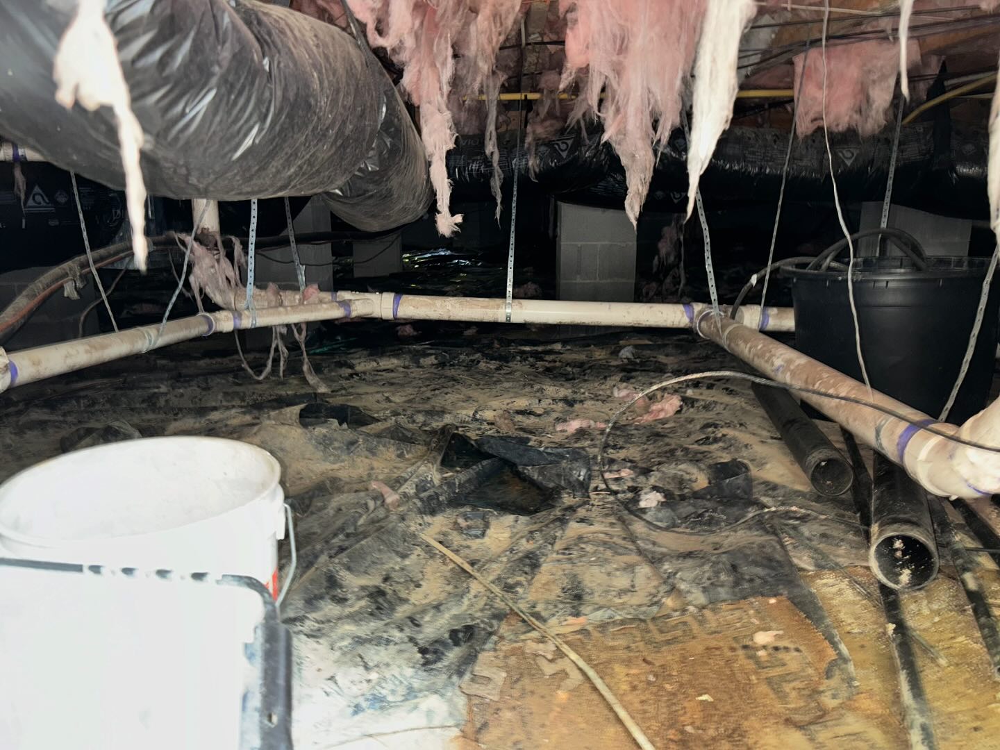 Carolina Crawl Space Services