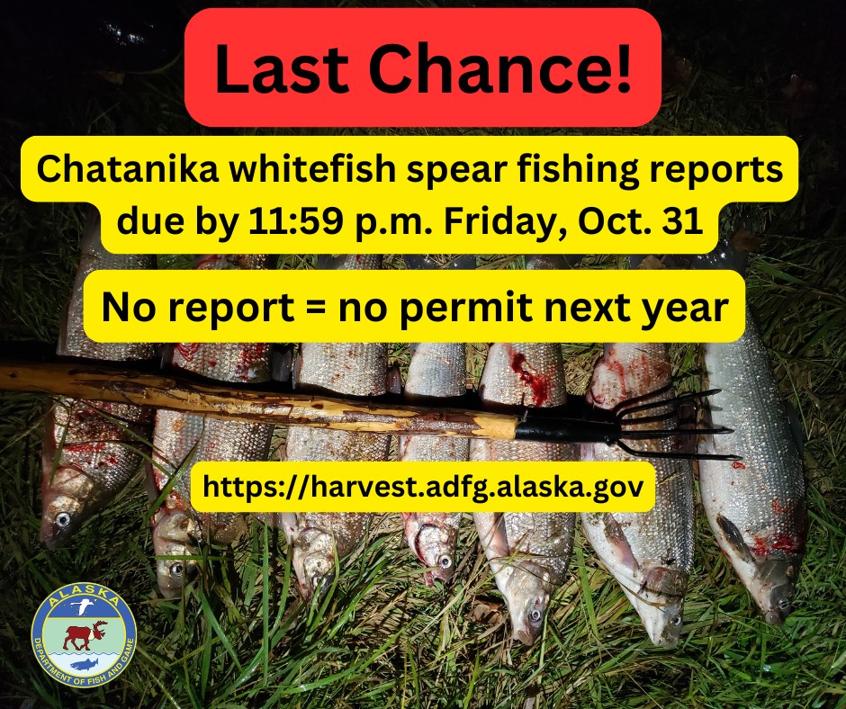 ADF&G - Sport Fishing Interior Alaska