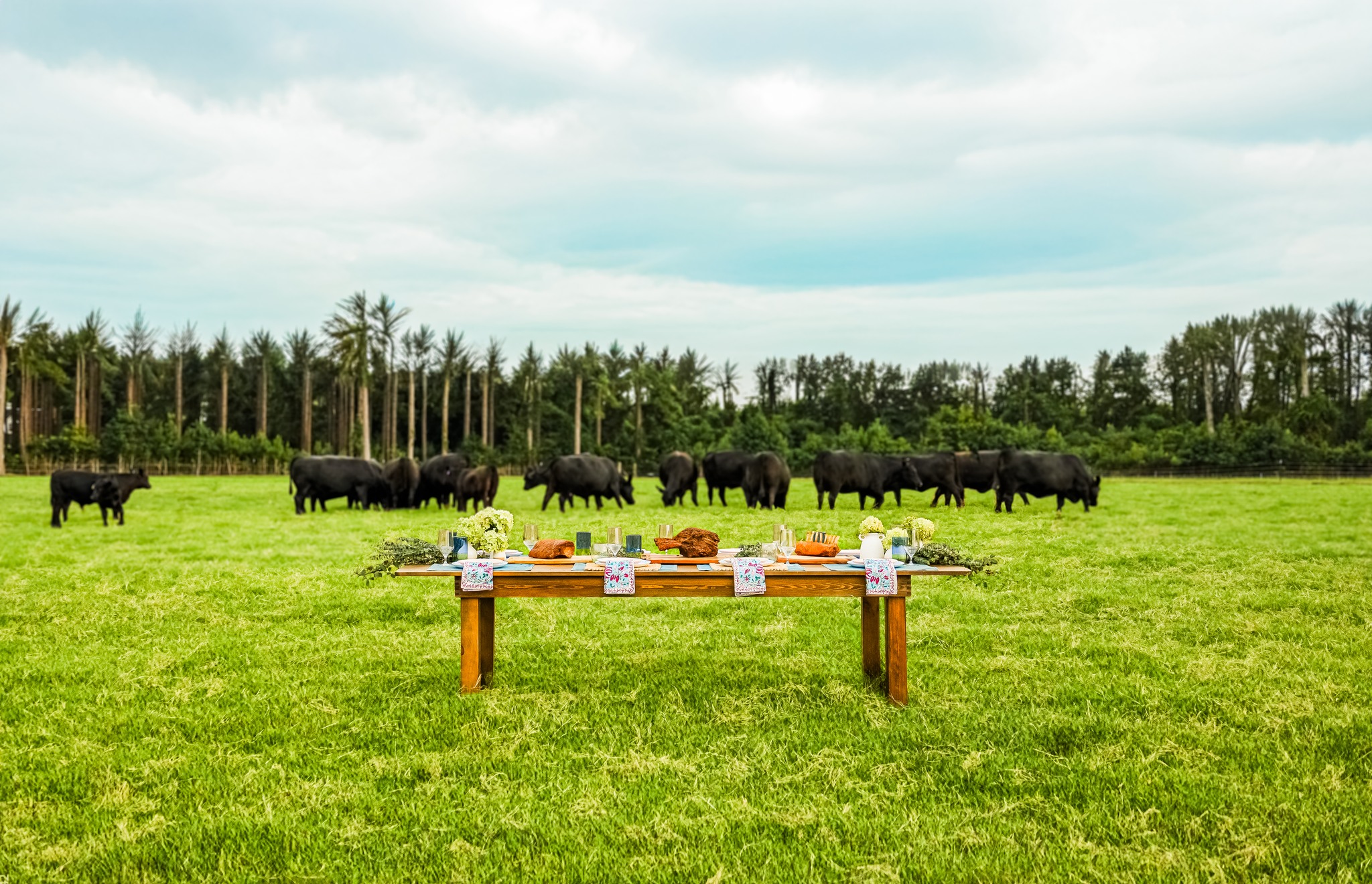 Marbled Duck Ranch Provisions | Millen GA