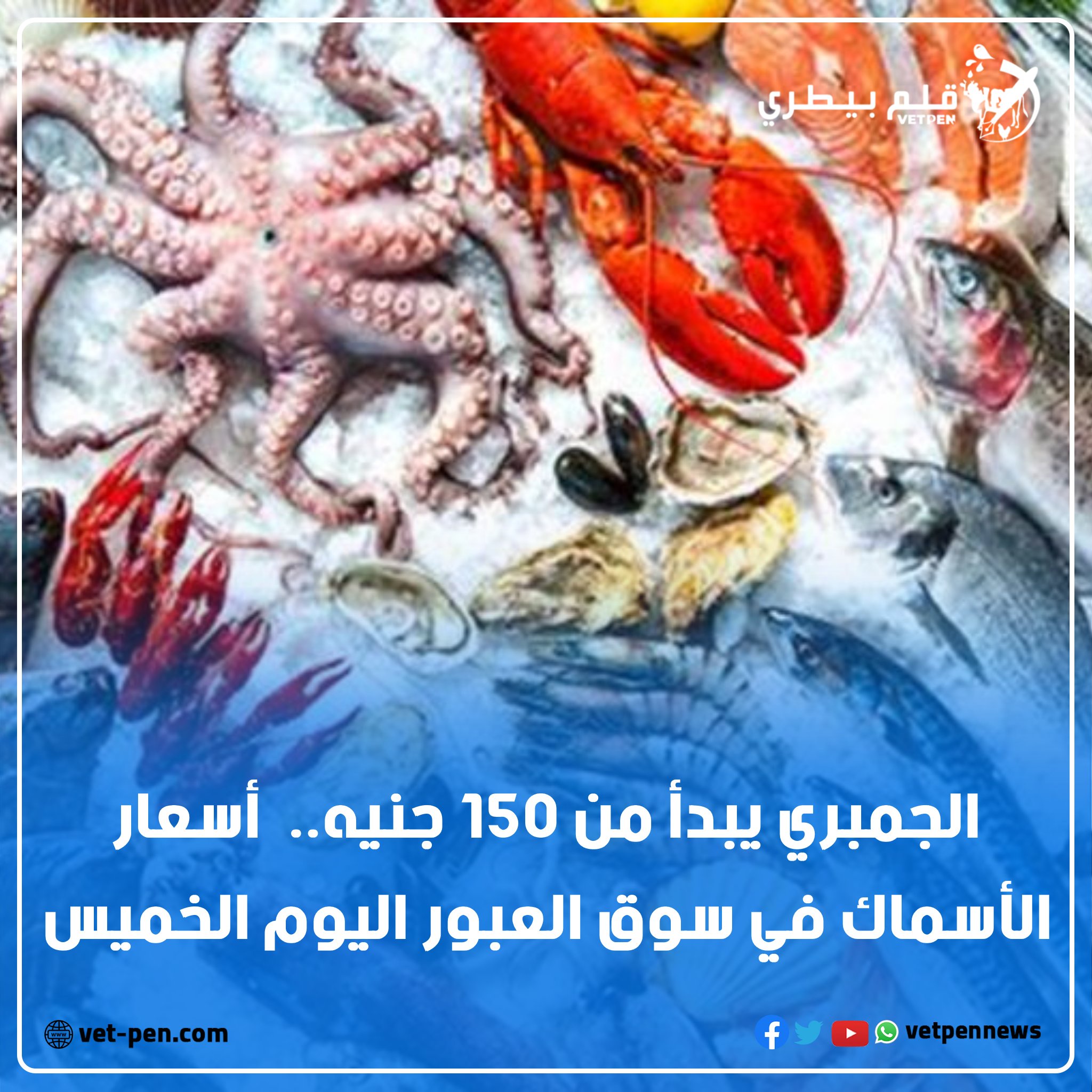 قلم - #الجمبري يبدأ من 150 جنيه.. #أسعار_الأسماك في سوق العبور اليوم ...