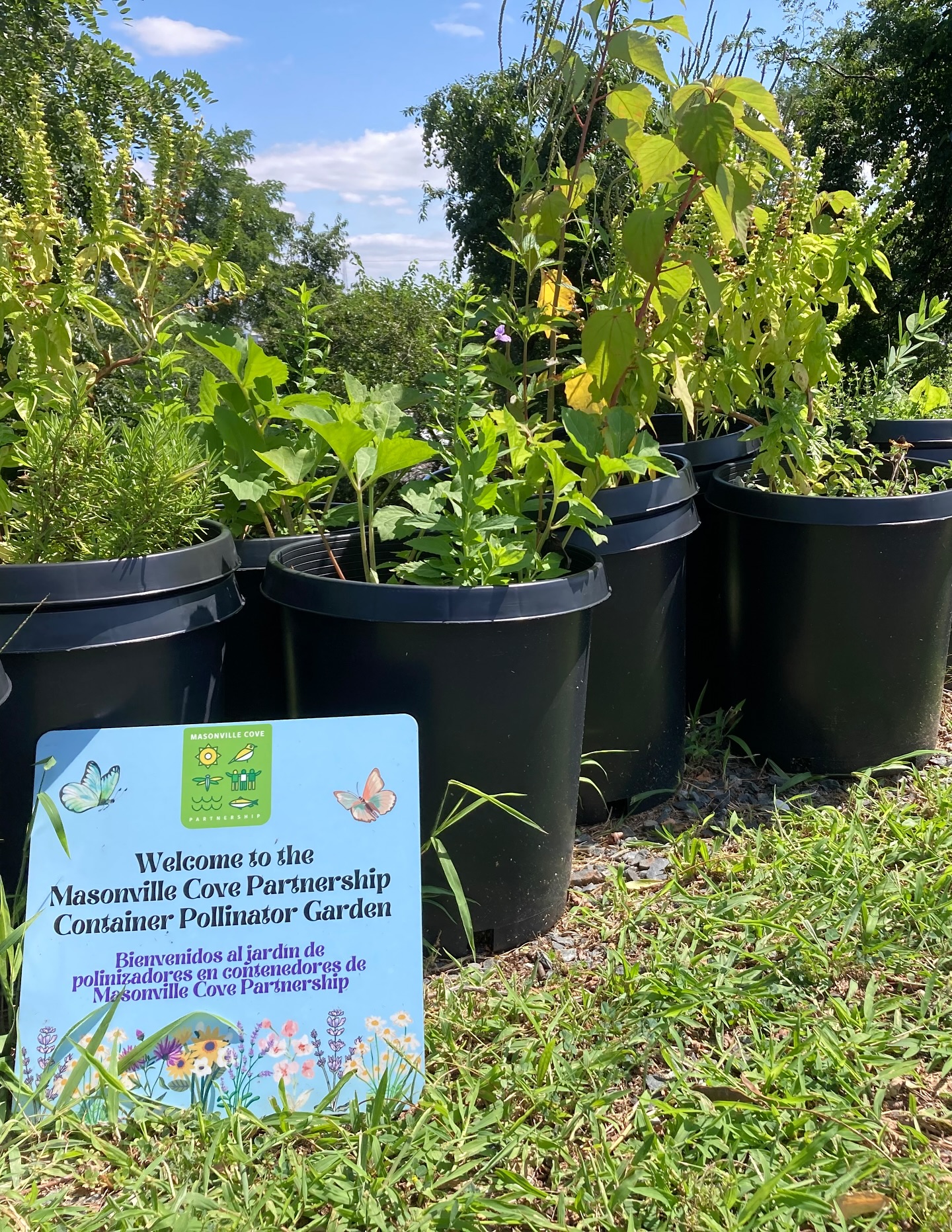 Baltimore City Master Gardeners of University of Maryland Extension ...