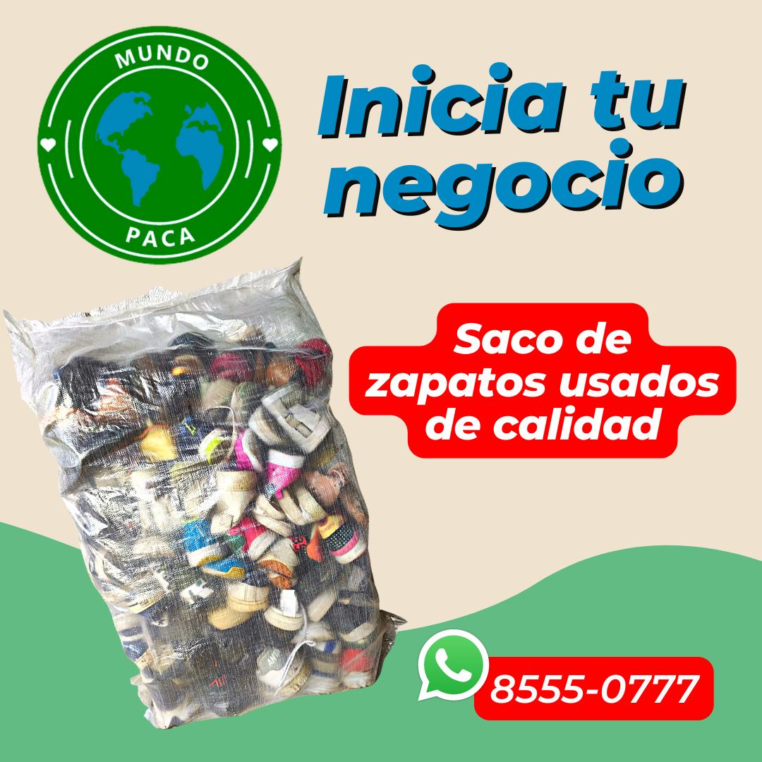Mundo paca - Hoy te mostramos parte de los estilos bellos...