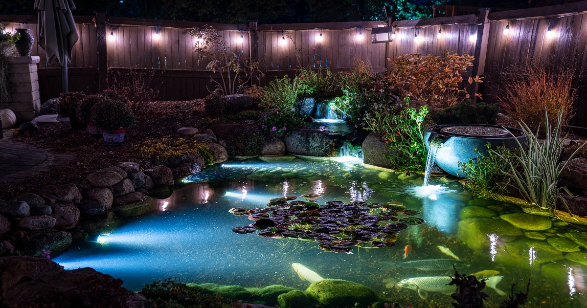 Aquascape Pond Shop - Halloween is just around the corner 🍂 Join us for ...