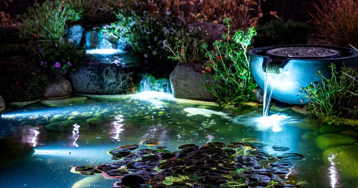 Aquascape Pond Shop - Halloween is just around the corner 🍂 Join us for ...