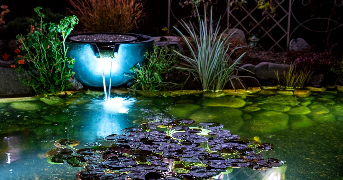 Aquascape Pond Shop - Halloween is just around the corner 🍂 Join us for ...
