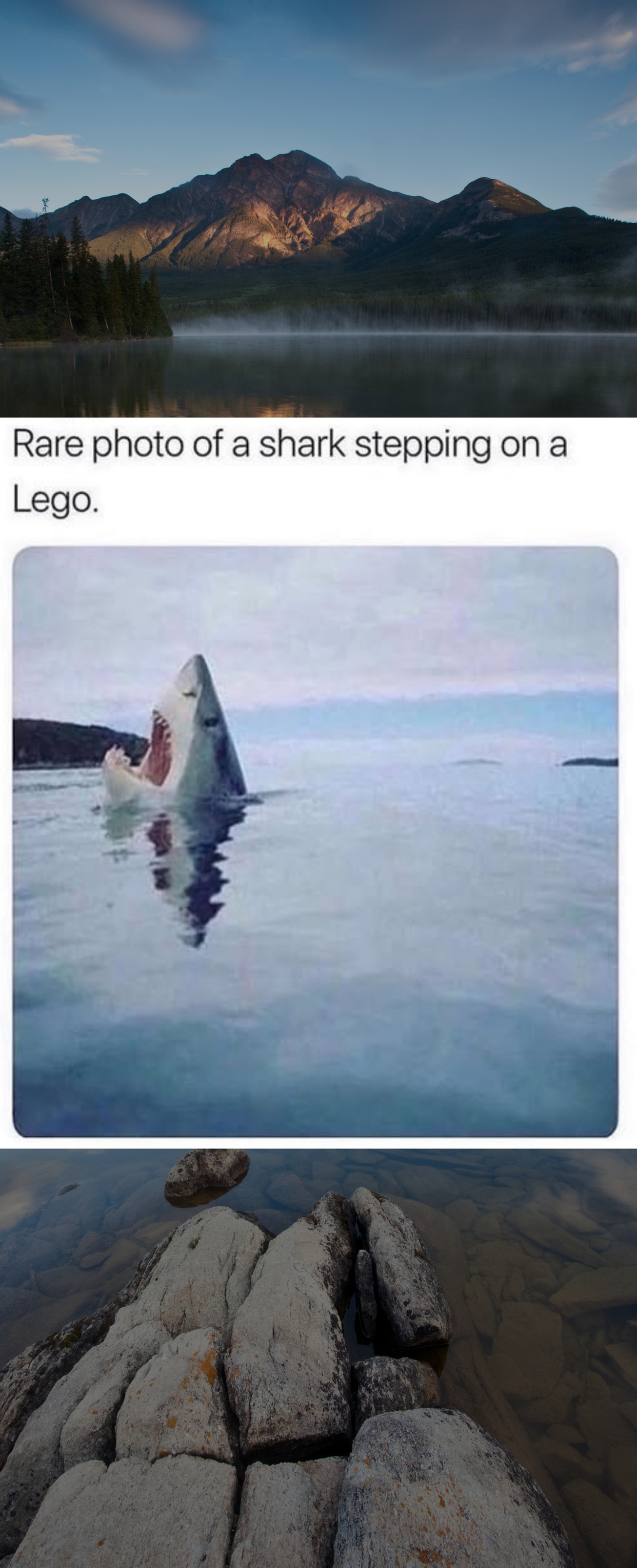 Never - The worst. 🥴😂 | Facebook