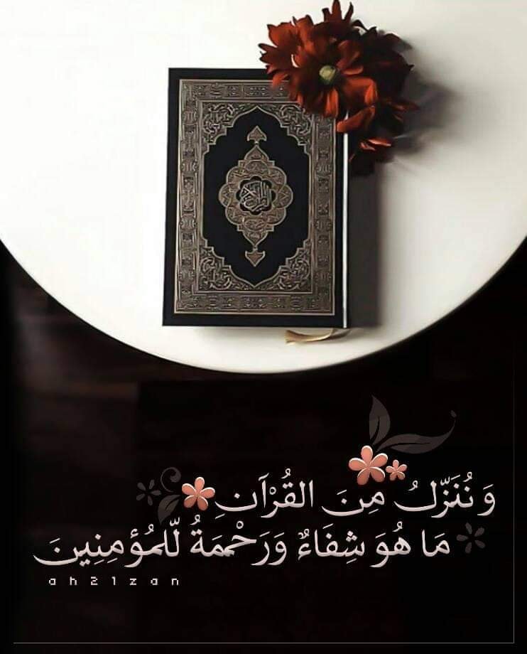 وننزل من القرآن ما هو انتي ملگه بنقابگ انت ملگ بلحيتگ Facebook