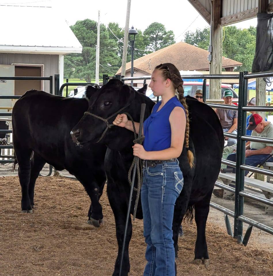 Union County Fair Anna, IL... - Union County Fair Anna, IL