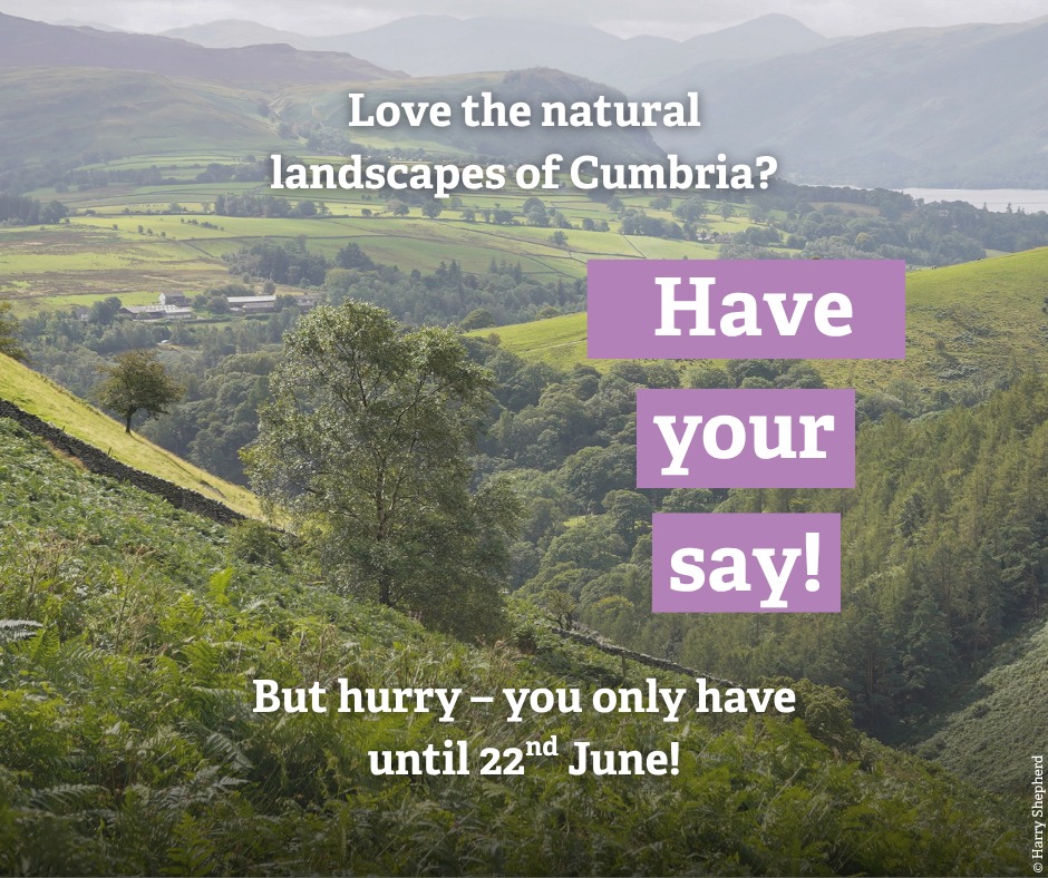 Cumbria Wildlife Trust - 🏙️We're highlighting how great natural spaces ...