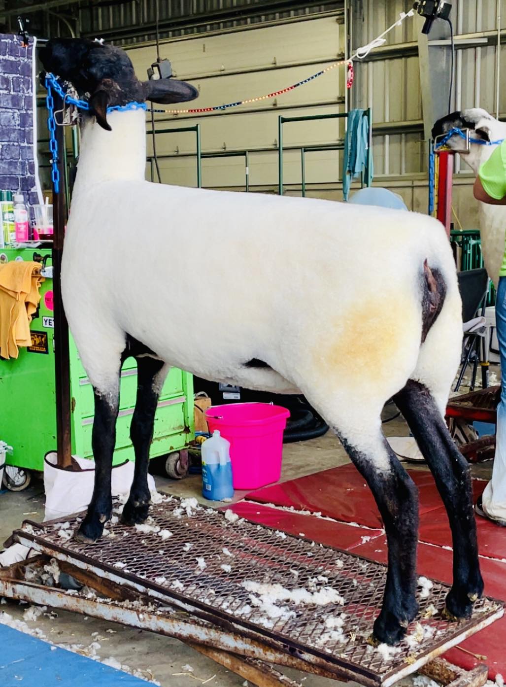 Slack Farms | Lake Geneva WI