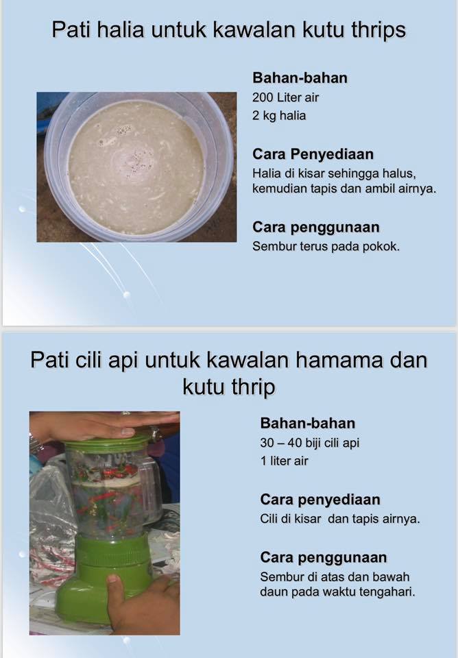 Perkongsian Kawalan Pejabat Pertanian Daerah Kemaman Facebook