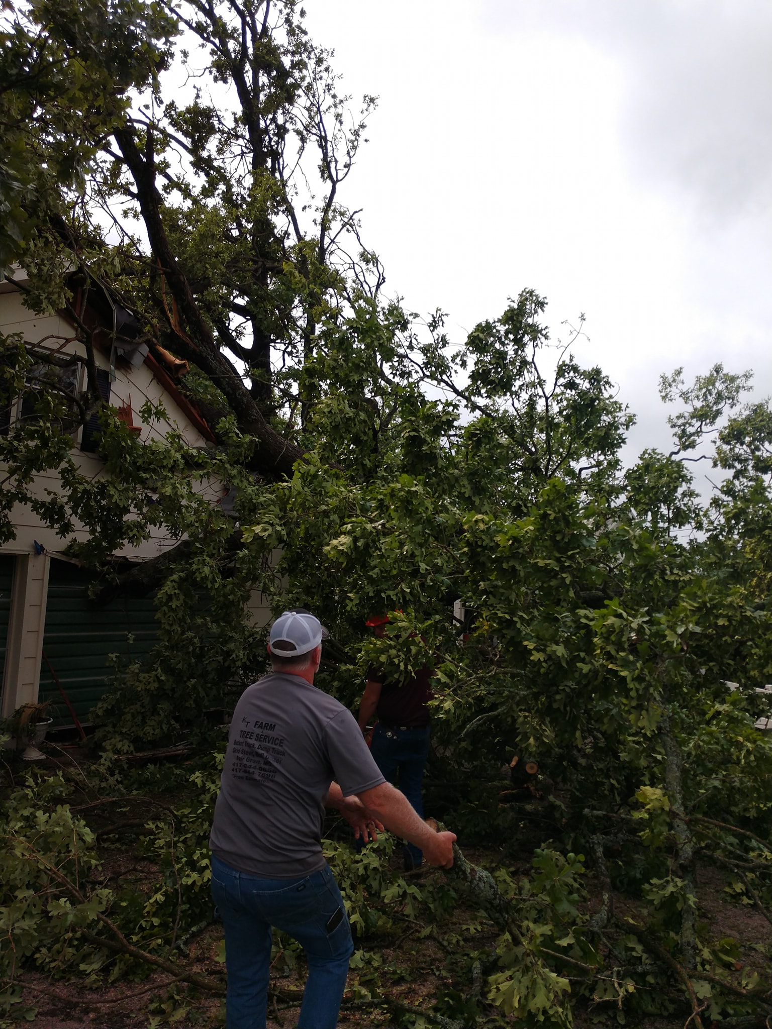 We are already on... - KT Farms,Tree Service & Logging LLC. | Facebook