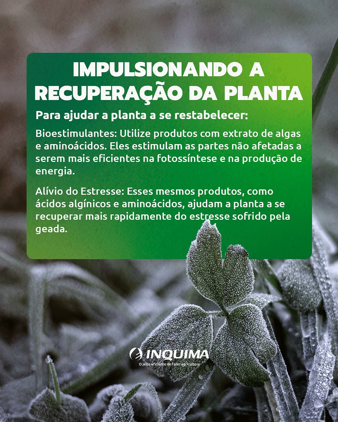 Inquima - Inquima added a new photo.