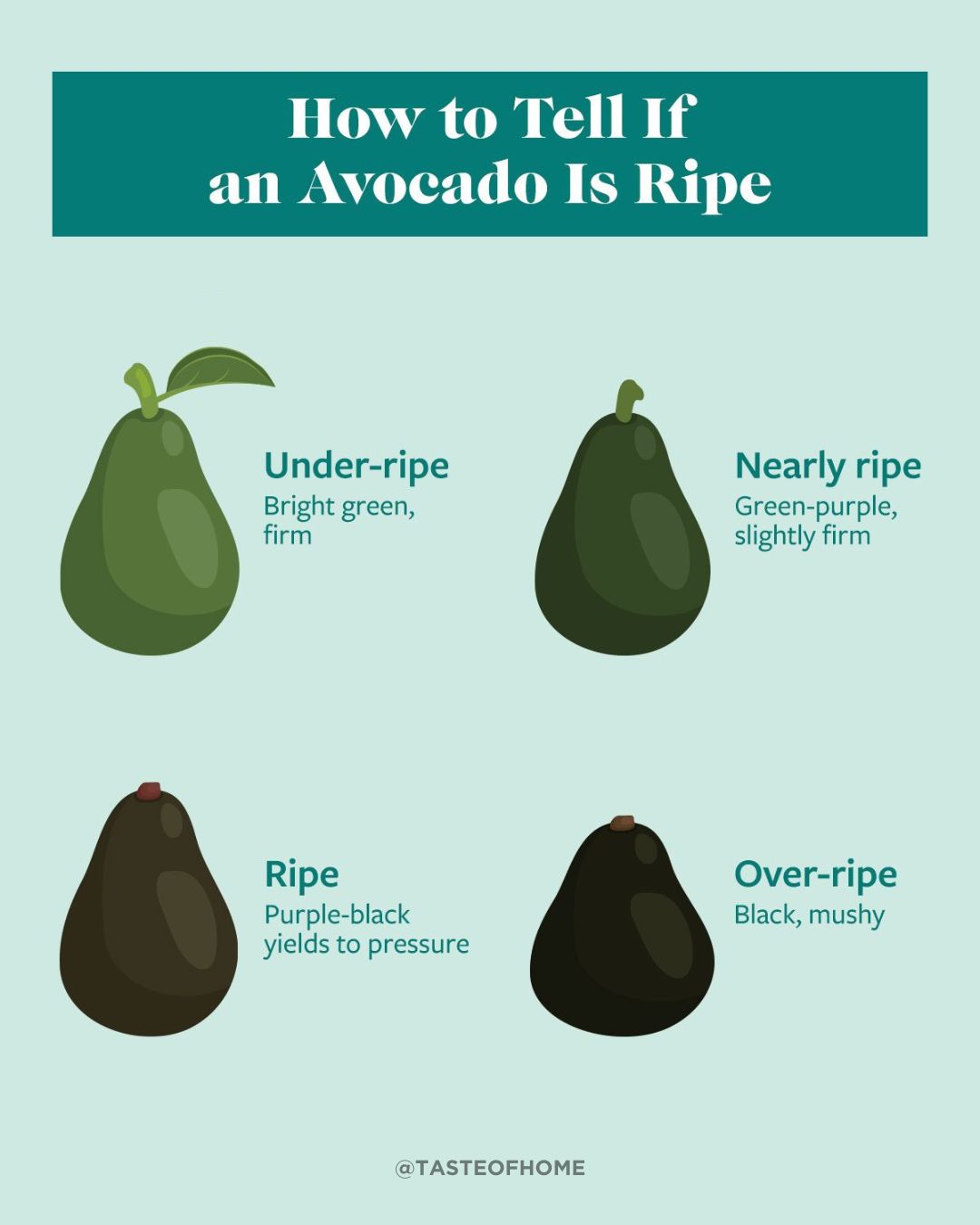 Taste - Tired of avocados going from green to mush in no time? Say ...