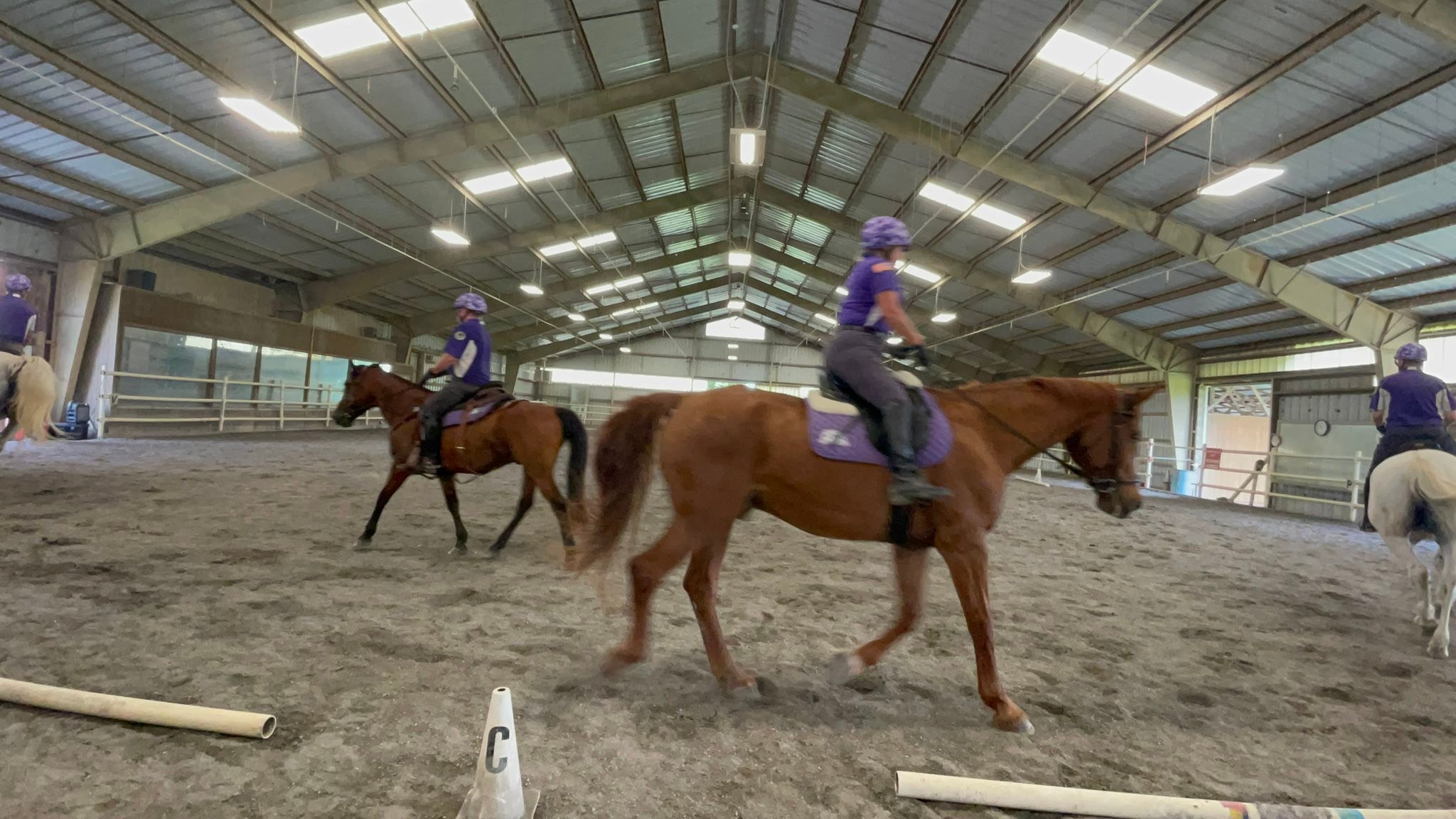 Freedom Hills... - Freedom Hills Therapeutic Riding Program