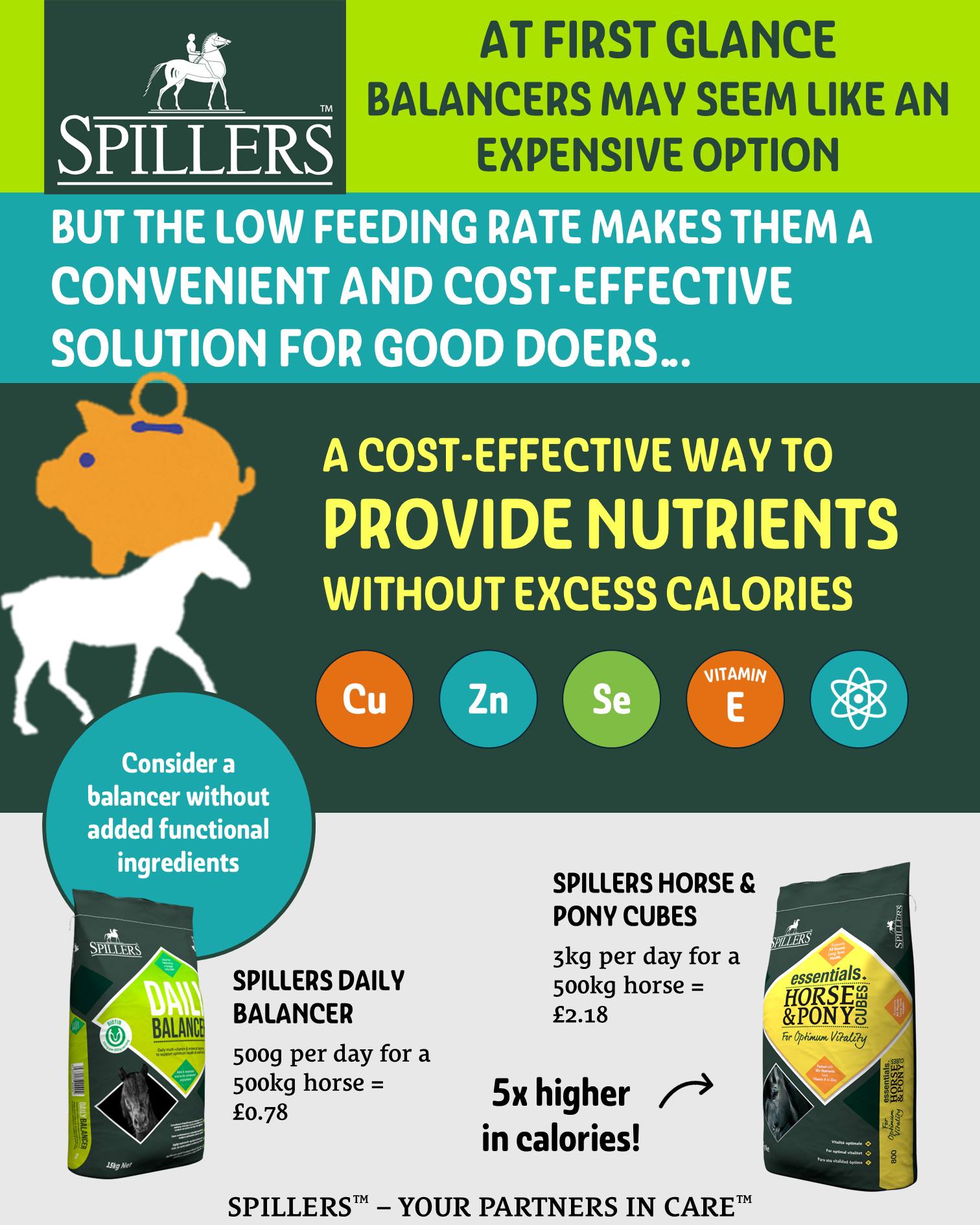 SPILLERS - 🌟 Are Balancers Expensive? 🌟 At first glance, balancers ...