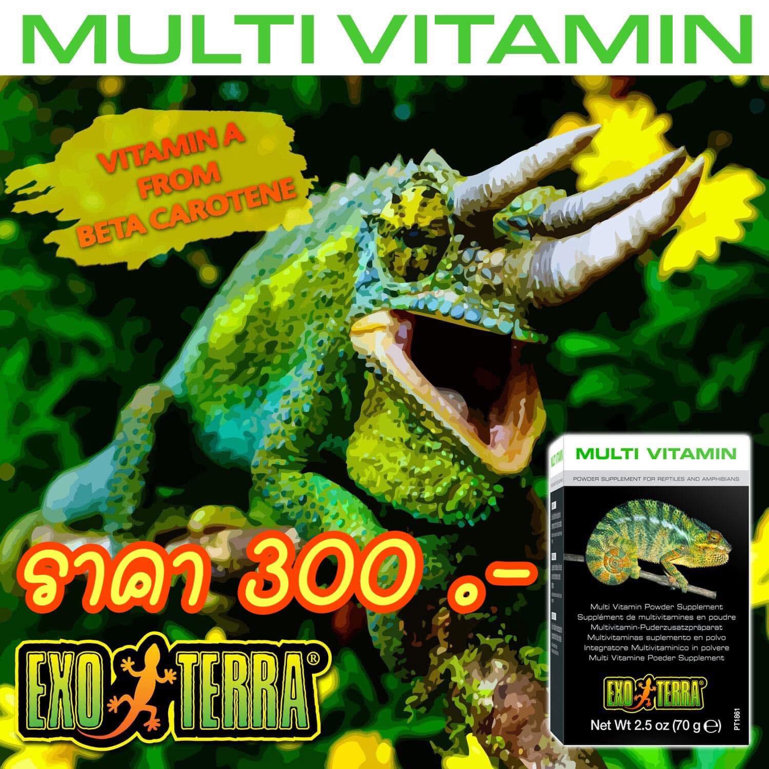 AtHome - Vitamin นั้นดีต่อสัตว์เลี้ยงของเราอย่างไร 🦎วิตามินเอจาก ...