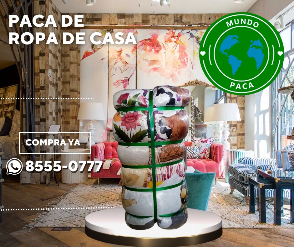 Mundo paca - Pacas que no pueden faltar en tu... | Facebook