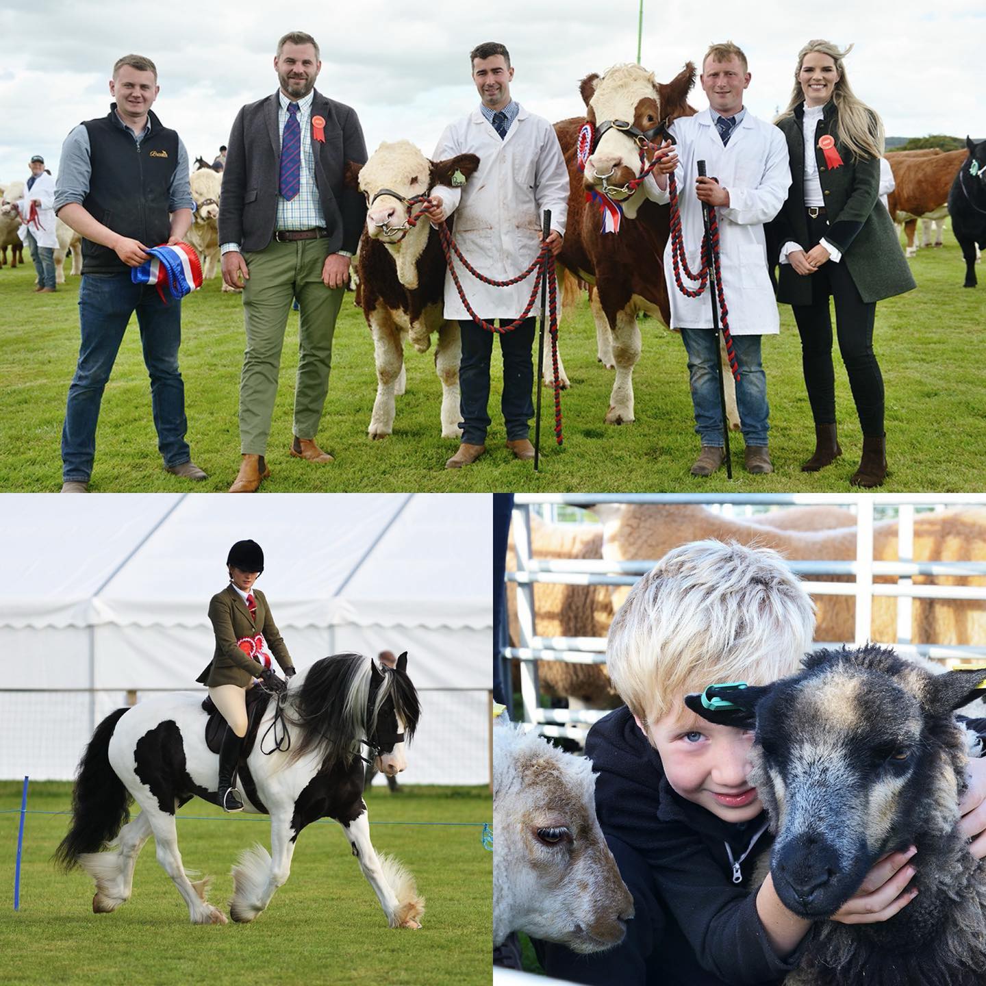 Keith - 🙌🐮🐑🐴 Entries OPEN! 🥳 Cattle Sheep Horses We’re ready for Keith ...