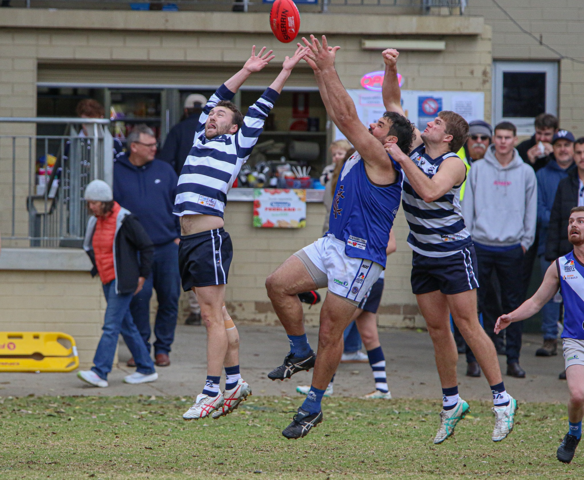 Adelaide - RD 8 Police Credit Union M4R Walkerville 14.14-98 def ...