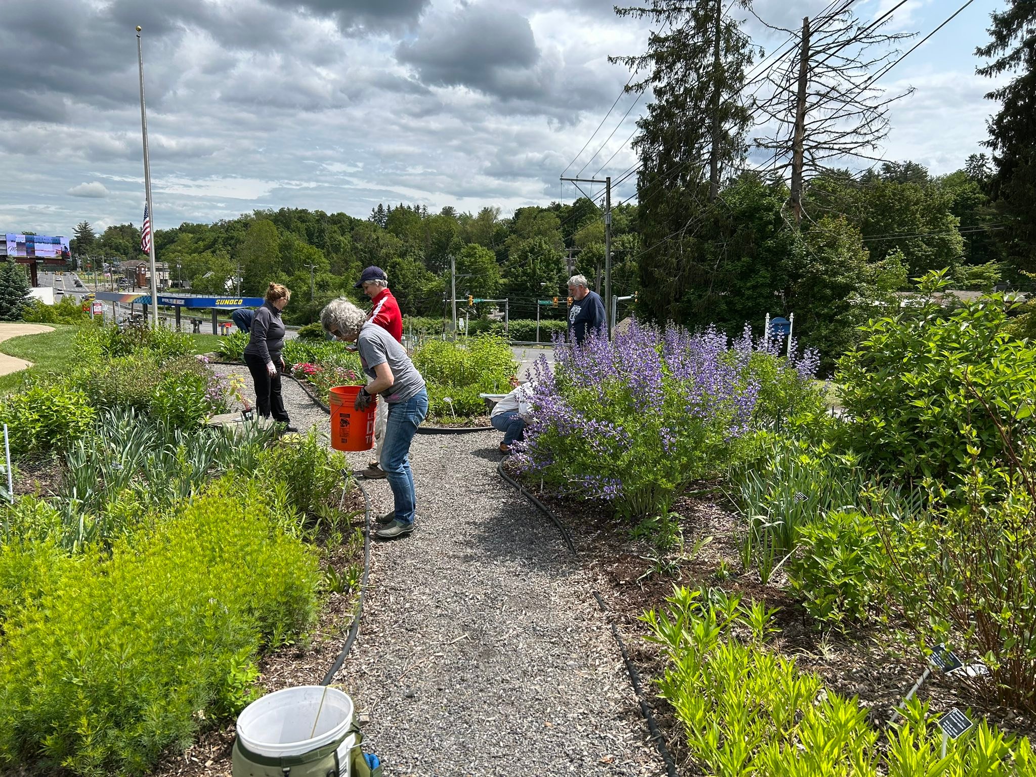 Penn State... - Penn State Master Gardeners of Luzerne County