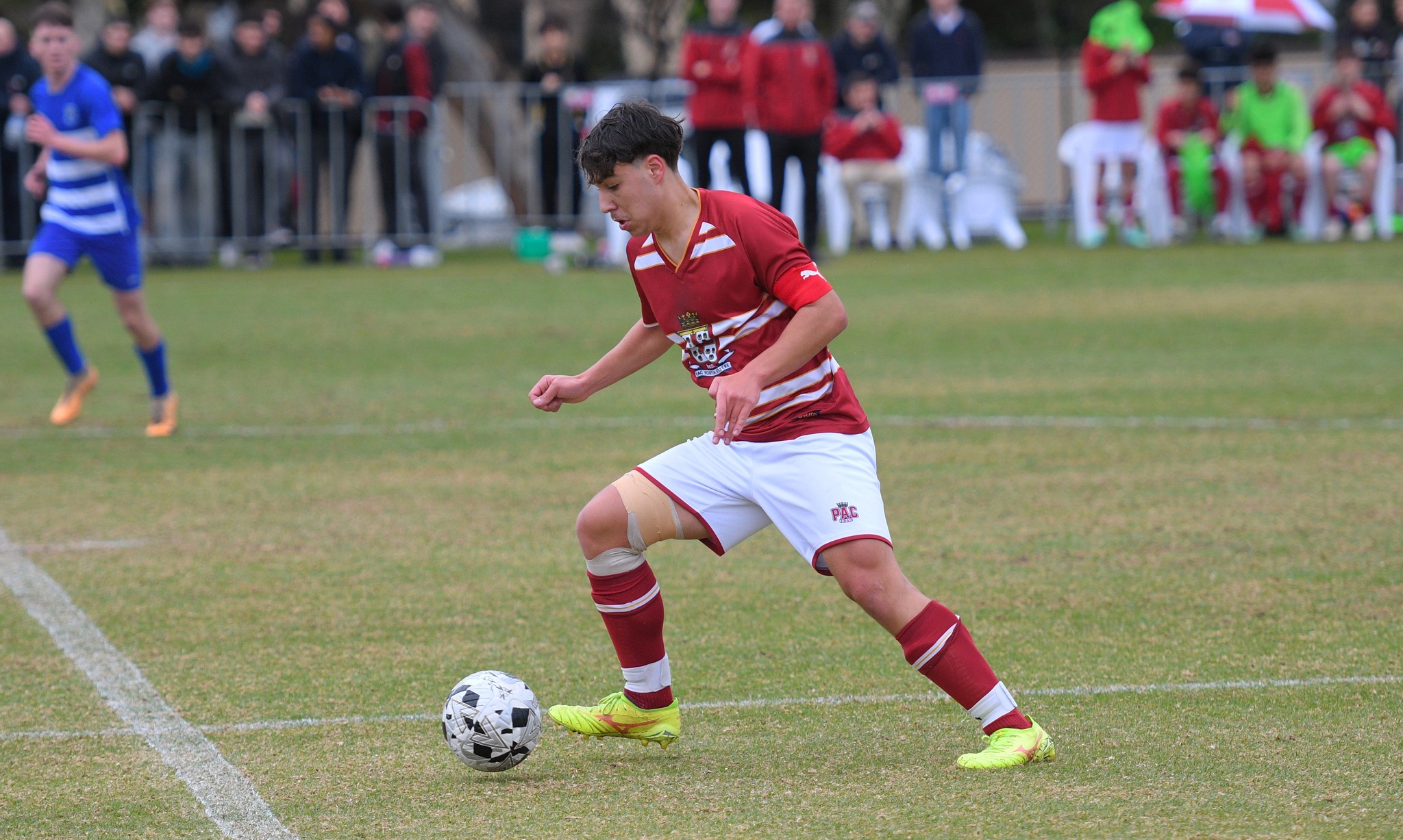 Yesterday our First XI took on... - Prince Alfred College | Facebook